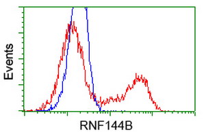 RNF144B Antibody - HEK293T cells transfected with either pCMV6-ENTRY RNF144B (Red) or empty vector control plasmid (Blue) were immunostained with anti-RNF144B mouse monoclonal, and then analyzed by flow cytometry.