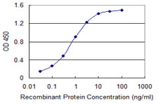 RNF25 Antibody - Detection limit for recombinant GST tagged RNF25 is 0.03 ng/ml as a capture antibody.