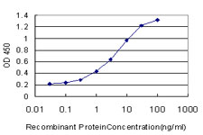RNF6 Antibody - Detection limit for recombinant GST tagged RNF6 is approximately 0.03 ng/ml as a capture antibody.
