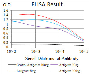 RNF74 / RAG1 Antibody - Red: Control Antigen (100ng); Purple: Antigen (10ng); Green: Antigen (50ng); Blue: Antigen (100ng);