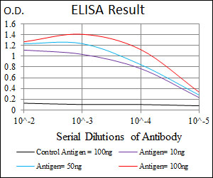 rnfH Antibody - Red: Control Antigen (100ng); Purple: Antigen (10ng); Green: Antigen (50ng); Blue: Antigen (100ng);