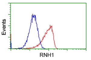 RNH1 Antibody - Flow cytometric Analysis of Hela cells, using anti-RNH1 antibody, (Red), compared to a nonspecific negative control antibody, (Blue).