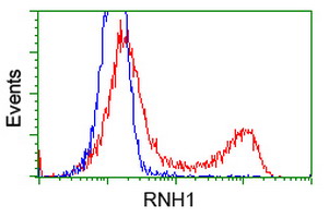 RNH1 Antibody - HEK293T cells transfected with either overexpress plasmid (Red) or empty vector control plasmid (Blue) were immunostained by anti-RNH1 antibody, and then analyzed by flow cytometry.
