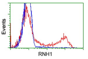 RNH1 Antibody - HEK293T cells transfected with either overexpress plasmid (Red) or empty vector control plasmid (Blue) were immunostained by anti-RNH1 antibody, and then analyzed by flow cytometry.