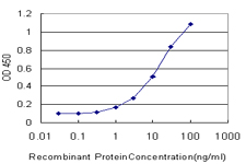 RNPEP Antibody - Detection limit for recombinant GST tagged RNPEP is approximately 0.3 ng/ml as a capture antibody.