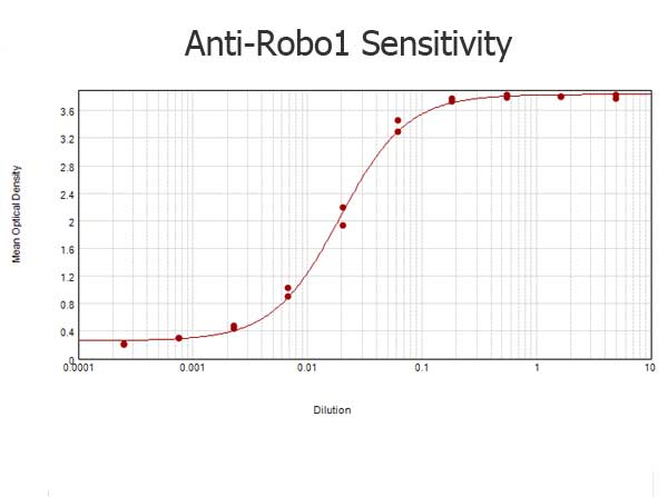ROBO1 Antibody - ELISA results of purified Rabbit anti-Robo-1 Antibody tested against BSA-conjugated peptide of immunizing peptide. Each well was coated in duplicate with 0.1µg of conjugate. The starting dilution of antibody was 5µg/ml and the X-axis represents the Log10 of a 3-fold dilution. This titration is a 4-parameter curve fit where the IC50 is defined as the titer of the antibody. Assay performed using 3% fish gel, Goat anti-Rabbit IgG Antibody Peroxidase Conjugated (Min X Bv Ch Gt GP Ham Hs Hu Ms Rt & Sh Serum Proteins)