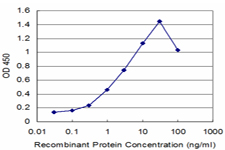 ROBO1 Antibody - Detection limit for recombinant GST tagged ROBO1 is approximately 0.1 ng/ml as a capture antibody.