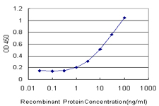 ROBO2 Antibody - Detection limit for recombinant GST tagged ROBO2 is approximately 1 ng/ml as a capture antibody.