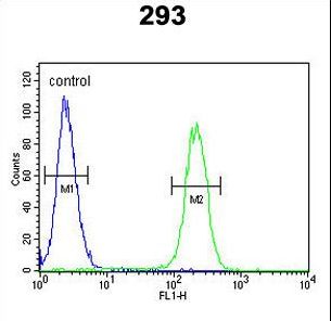 ROBO4 Antibody - Roundabout 4 Antibody flow cytometry of 293 cells (right histogram) compared to a negative control cell (left histogram). FITC-conjugated goat-anti-rabbit secondary antibodies were used for the analysis.
