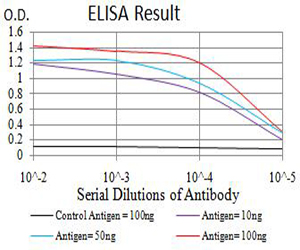 ROP1 Antibody - Black line: Control Antigen (100 ng);Purple line: Antigen (10ng); Blue line: Antigen (50 ng); Red line:Antigen (100 ng)