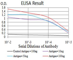 ROP1 Antibody - Black line: Control Antigen (100 ng);Purple line: Antigen (10ng); Blue line: Antigen (50 ng); Red line:Antigen (100 ng)