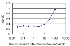 ROPN1 / Ropporin Antibody - Detection limit for recombinant GST tagged ROPN1 is approximately 10 ng/ml as a capture antibody.