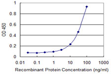 ROR1 Antibody - Detection limit for recombinant GST tagged ROR1 is 1 ng/ml as a capture antibody.