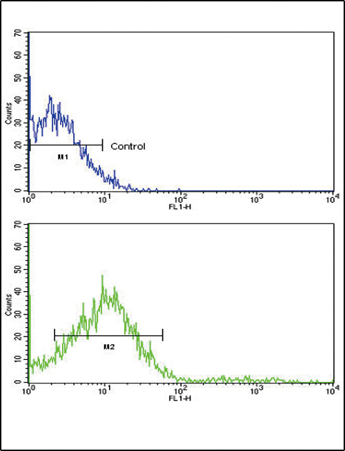 ROR2 Antibody - Flow cytometric of NCI-H292 cells using ROR2 Antibody (bottom histogram) compared to a negative control cell (top histogram). FITC-conjugated goat-anti-rabbit secondary antibodies were used for the analysis.