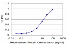ROR2 Antibody - Detection limit for recombinant GST tagged ROR2 is approximately 1 ng/ml as a capture antibody.