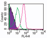 RORC / ROR Gamma Antibody - Intracellular analysis of ROR gamma in human lymphocytes using 10 ul (0.25 ug) of ROR gamma antibody. Shaded histogram represents cells without antibody; green represents isotype control antibodywas used for this test. This image was taken for the unconjugated form of this product. Other forms have not been tested.