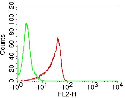 RORC / ROR Gamma Antibody - Fig-2: Intracellular flow analysis of ROR Gamma in PBMC (Lymphocyte gated) using 0.5 µg/10^6 cells of Anti-ROR Gamma. Green represents isotype control; red represents Anti-ROR Gamma antibody. Goat Anti-mouse PE conjugate was used as the secondary antibody.