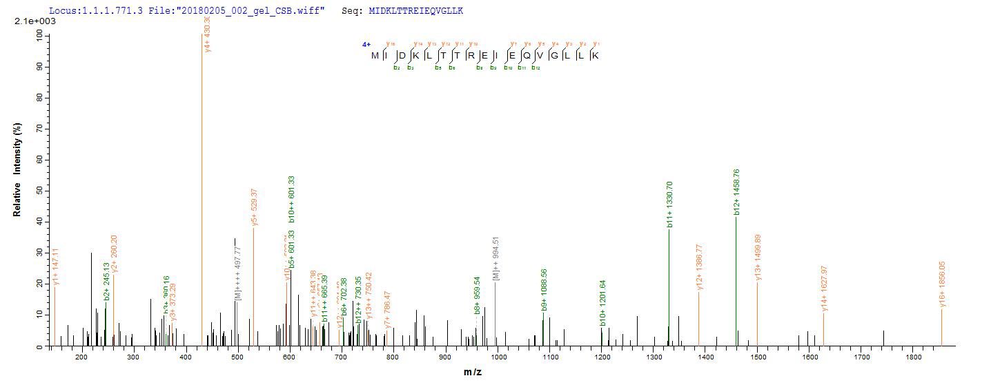 Rotavirus A Non-structural Glycoprotein 4 Protein - Based on the SEQUEST from database of E.coli host and target protein, the LC-MS/MS Analysis result of Recombinant Rotavirus A Non-structural glycoprotein 4,partial could indicate that this peptide derived from E.coli-expressed Rotavirus A (isolate RVA/Cow/United States/B223/1983/G10P8[11 ]) (RV-A) glycoprotein 4.