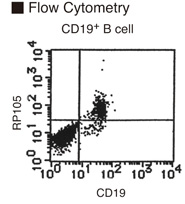 RP105 / CD180 Antibody