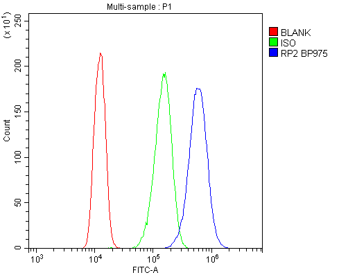 RP2 Antibody - Flow Cytometry analysis of A431 cells using anti-RP2 antibody. Overlay histogram showing A431 cells stained with anti-RP2 antibody (Blue line). The cells were blocked with 10% normal goat serum. And then incubated with rabbit anti-RP2 Antibody (1µg/10E6 cells) for 30 min at 20°C. DyLight®488 conjugated goat anti-rabbit IgG (5-10µg/10E6 cells) was used as secondary antibody for 30 minutes at 20°C. Isotype control antibody (Green line) was rabbit IgG (1µg/10E6 cells) used under the same conditions. Unlabelled sample (Red line) was also used as a control.