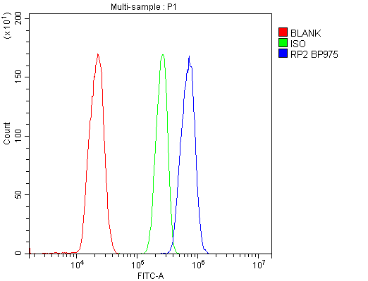 RP2 Antibody - Flow Cytometry analysis of THP-1 cells using anti-RP2 antibody. Overlay histogram showing THP-1 cells stained with anti-RP2 antibody (Blue line). The cells were blocked with 10% normal goat serum. And then incubated with rabbit anti-RP2 Antibody (1µg/10E6 cells) for 30 min at 20°C. DyLight®488 conjugated goat anti-rabbit IgG (5-10µg/10E6 cells) was used as secondary antibody for 30 minutes at 20°C. Isotype control antibody (Green line) was rabbit IgG (1µg/10E6 cells) used under the same conditions. Unlabelled sample (Red line) was also used as a control.
