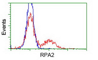 RPA2 / RFA2 / RPA34 Antibody - HEK293T cells transfected with either overexpress plasmid (Red) or empty vector control plasmid (Blue) were immunostained by anti-RPA2 antibody, and then analyzed by flow cytometry.