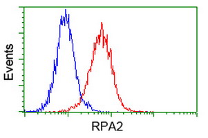 RPA2 / RFA2 / RPA34 Antibody - Flow cytometry of Jurkat cells, using anti-RPA2 antibody (Red), compared to a nonspecific negative control antibody (Blue).