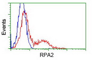 RPA2 / RFA2 / RPA34 Antibody - Flow cytometry of HeLa cells, using anti-RPA2 antibody, (Red) compared to a nonspecific negative control antibody (Blue).