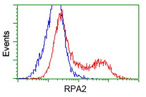 RPA2 / RFA2 / RPA34 Antibody - Flow cytometry of HeLa cells, using anti-RPA2 antibody, (Red) compared to a nonspecific negative control antibody (Blue).