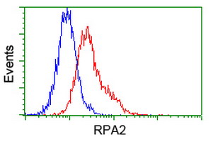 RPA2 / RFA2 / RPA34 Antibody - Flow cytometry of Jurkat cells, using anti-RPA2 antibody (Red), compared to a nonspecific negative control antibody (Blue).