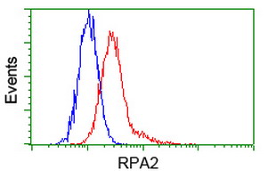 RPA2 / RFA2 / RPA34 Antibody - Flow cytometry of Jurkat cells, using anti-RPA2 antibody, (Red) compared to a nonspecific negative control antibody (Blue).