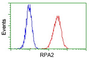 RPA2 / RFA2 / RPA34 Antibody - Flow cytometry of Jurkat cells, using anti-RPA2 antibody, (Red) compared to a nonspecific negative control antibody (Blue).