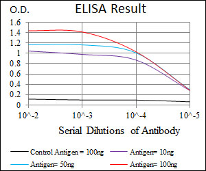 RPA70 / RPA1 Antibody - Red: Control Antigen (100ng); Purple: Antigen (10ng); Green: Antigen (50ng); Blue: Antigen (100ng);