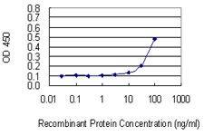 RPL17 / Ribosomal Protein L17 Antibody - Detection limit for recombinant GST tagged RPL17 is 3 ng/ml as a capture antibody.