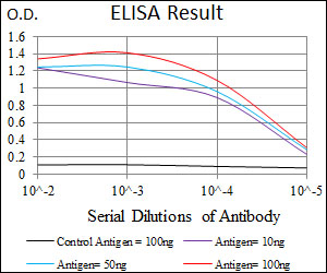 RPL18A Antibody - Red: Control Antigen (100ng); Purple: Antigen (10ng); Green: Antigen (50ng); Blue: Antigen (100ng);