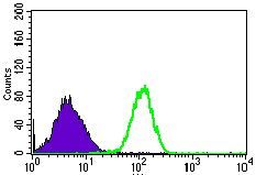 RPL18A Antibody - RPL18A Antibody in Flow Cytometry (Flow)