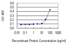 RPL18A Antibody - Detection limit for recombinant GST tagged RPL18A is 10 ng/ml as a capture antibody.