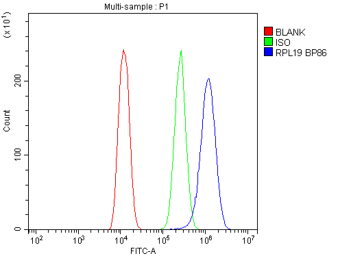 RPL19 / Ribosomal Protein L19 Antibody - Flow Cytometry analysis of U20S cells using anti-RPL19 antibody. Overlay histogram showing U20S cells stained with anti-RPL19 antibody (Blue line). The cells were blocked with 10% normal goat serum. And then incubated with rabbit anti-RPL19 Antibody (1µg/10E6 cells) for 30 min at 20°C. DyLight®488 conjugated goat anti-rabbit IgG (5-10µg/10E6 cells) was used as secondary antibody for 30 minutes at 20°C. Isotype control antibody (Green line) was rabbit IgG (1µg/10E6 cells) used under the same conditions. Unlabelled sample (Red line) was also used as a control.