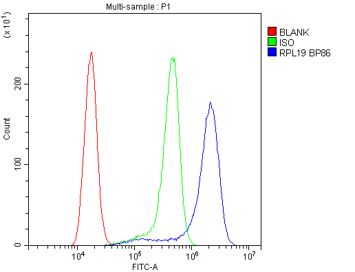 RPL19 / Ribosomal Protein L19 Antibody - Flow Cytometry analysis of A431 cells using anti-RPL19 antibody. Overlay histogram showing A431 cells stained with anti-RPL19 antibody (Blue line). The cells were blocked with 10% normal goat serum. And then incubated with rabbit anti-RPL19 Antibody (1µg/10E6 cells) for 30 min at 20°C. DyLight®488 conjugated goat anti-rabbit IgG (5-10µg/10E6 cells) was used as secondary antibody for 30 minutes at 20°C. Isotype control antibody (Green line) was rabbit IgG (1µg/10E6 cells) used under the same conditions. Unlabelled sample (Red line) was also used as a control.
