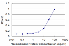 RPL30 / Ribosomal Protein L30 Antibody - Detection limit for recombinant GST tagged RPL30 is approximately 1 ng/ml as a capture antibody.