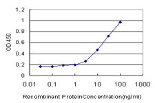 RPL32 / Ribosomal Protein L32 Antibody - Detection limit for recombinant GST tagged RPL32 is approximately 0.3 ng/ml as a capture antibody.
