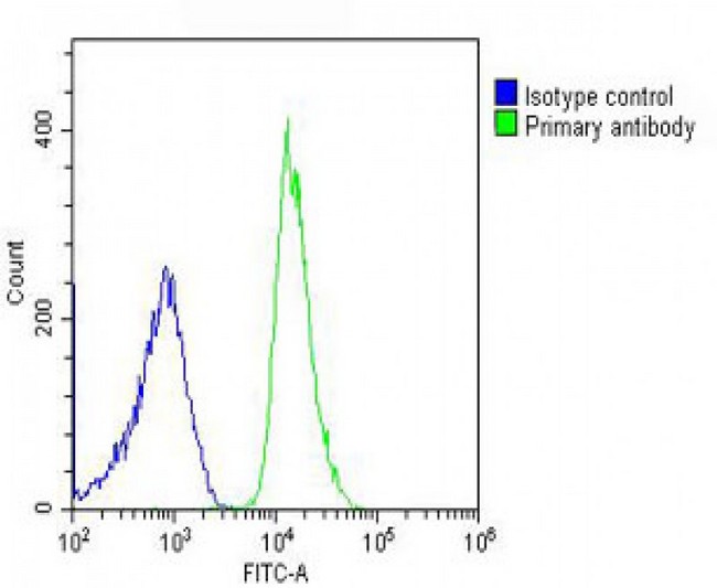 RPL4 / Ribosomal Protein L4 Antibody - Overlay histogram showing U-2OS cells stained with RPL4 Antibody (N-Term) (green line). The cells were fixed with 2% paraformaldehyde (10 min) and then permeabilized with 90% methanol for 10 min. The cells were then icubated in 2% bovine serum albumin to block non-specific protein-protein interactions followed by the antibody (RPL4 Antibody (N-Term), 1:25 dilution) for 60 min at 37°C. The secondary antibody used was Goat-Anti-Rabbit IgG, DyLight® 488 Conjugated Highly Cross-Adsorbed at 1/200 dilution for 40 min at 37°C. Isotype control antibody (blue line) was rabbit IgG (1µg/1x10^6 cells) used under the same conditions. Acquisition of >10, 000 events was performed.