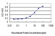 RPL9 / Ribosomal Protein L9 Antibody - Detection limit for recombinant GST tagged RPL9 is approximately 0.3 ng/ml as a capture antibody.