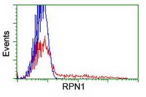 RPN1 / Ribophorin I Antibody - HEK293T cells transfected with either overexpress plasmid (Red) or empty vector control plasmid (Blue) were immunostained by anti-RPN1 antibody, and then analyzed by flow cytometry.