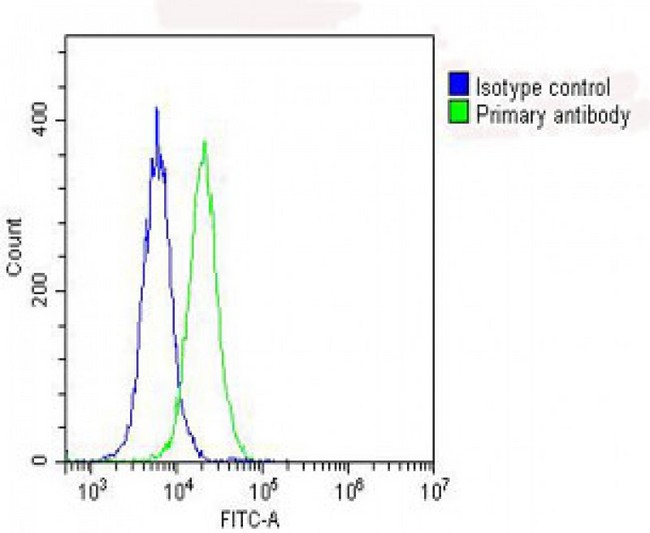 RPS10 / Ribosomal Protein S10 Antibody - Overlay histogram showing Hela cells stained with RPS10 Antibody (C-Term) (green line). The cells were fixed with 2% paraformaldehyde (10 min) and then permeabilized with 90% methanol for 10 min. The cells were then icubated in 2% bovine serum albumin to block non-specific protein-protein interactions followed by the antibody (RPS10 Antibody (C-Term), 1:25 dilution) for 60 min at 37°C. The secondary antibody used was Goat-Anti-Rabbit IgG, DyLight® 488 Conjugated Highly Cross-Adsorbed at 1/200 dilution for 40 min at 37°C. Isotype control antibody (blue line) was rabbit IgG (1µg/1x10^6 cells) used under the same conditions. Acquisition of >10, 000 events was performed.