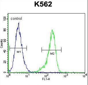 RPS19 / Ribosomal Protein S19 Antibody - RPS19 Antibody flow cytometry of K562 cells (right histogram) compared to a negative control cell (left histogram). FITC-conjugated goat-anti-rabbit secondary antibodies were used for the analysis.