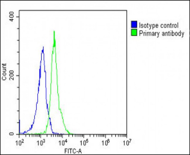 RPS2 / Ribosomal Protein S2 Antibody - Overlay histogram showing Jurkat cells stained with RPS2 Antibody (N-Term) (green line). The cells were fixed with 2% paraformaldehyde (10 min) and then permeabilized with 90% methanol for 10 min. The cells were then icubated in 2% bovine serum albumin to block non-specific protein-protein interactions followed by the antibody (RPS2 Antibody (N-Term), 1:25 dilution) for 60 min at 37°C. The secondary antibody used was Goat-Anti-Rabbit IgG, DyLight® 488 Conjugated Highly Cross-Adsorbed at 1/200 dilution for 40 min at 37°C. Isotype control antibody (blue line) was rabbit IgG1 (1µg/1x10^6 cells) used under the same conditions. Acquisition of >10, 000 events was performed.
