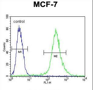 RPS24 / Ribosomal Protein S24 Antibody - RPS24 Antibody flow cytometry of MCF-7 cells (right histogram) compared to a negative control cell (left histogram). FITC-conjugated goat-anti-rabbit secondary antibodies were used for the analysis.