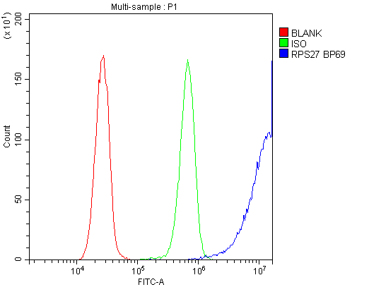 RPS27 / Ribosomal Protein S27 Antibody - Flow Cytometry analysis of HeLa cells using anti-MPS1 antibody. Overlay histogram showing HeLa cells stained with anti-MPS1 antibody (Blue line). The cells were blocked with 10% normal goat serum. And then incubated with rabbit anti-MPS1 Antibody (1µg/10E6 cells) for 30 min at 20°C. DyLight®488 conjugated goat anti-rabbit IgG (5-10µg/10E6 cells) was used as secondary antibody for 30 minutes at 20°C. Isotype control antibody (Green line) was rabbit IgG (1µg/10E6 cells) used under the same conditions. Unlabelled sample (Red line) was also used as a control.
