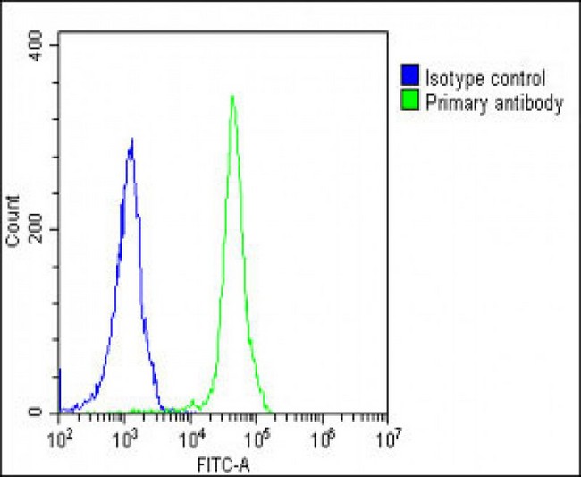 RPS27 / Ribosomal Protein S27 Antibody - Overlay histogram showing Jurkat cells stained with RPS27 Antibody (N-Term) (green line). The cells were fixed with 2% paraformaldehyde (10 min) and then permeabilized with 90% methanol for 10 min. The cells were then icubated in 2% bovine serum albumin to block non-specific protein-protein interactions followed by the antibody (RPS27 Antibody (N-Term), 1:25 dilution) for 60 min at 37°C. The secondary antibody used was Goat-Anti-Rabbit IgG, DyLight® 488 Conjugated Highly Cross-Adsorbed at 1/200 dilution for 40 min at 37°C. Isotype control antibody (blue line) was rabbit IgG1 (1µg/1x10^6 cells) used under the same conditions. Acquisition of >10, 000 events was performed.